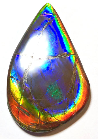 48x30 mm  Top Grade Natural  Free Form . FFNT 112 Ammolite  Free Shipping! ナチュラル　ルース　アンモライト ケース付　送料無料！