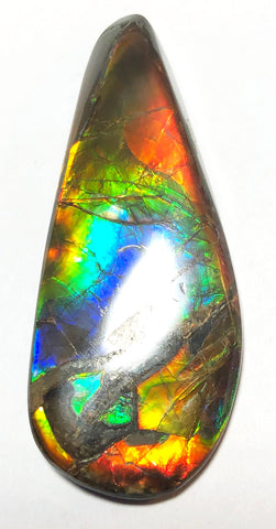 52.5 x 20 mm  Natural  Free Form with a nipplite. FFNT 115 Ammolite  ナチュラル　ルース　アンモライト フリーフォーム
