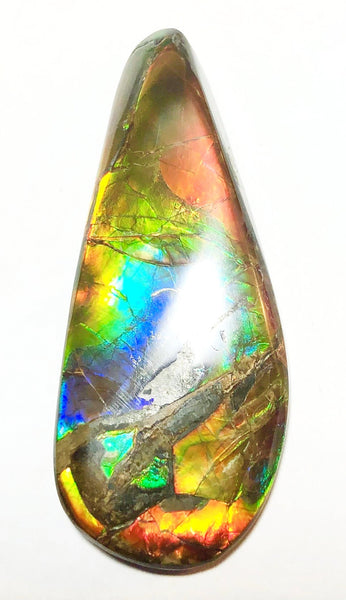 52.5 x 20 mm  Natural  Free Form with a nipplite. FFNT 115 Ammolite  ナチュラル　ルース　アンモライト フリーフォーム