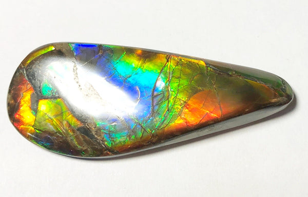 52.5 x 20 mm  Natural  Free Form with a nipplite. FFNT 115 Ammolite  ナチュラル　ルース　アンモライト フリーフォーム