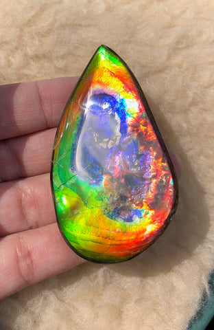 Super Rare Color!  XL! 62x34x7 mm  TOP Grade Natural  Free Form . FFNT 132 Ammolite  Free Shipping! ナチュラル　ルース　アンモライト 送料無料！