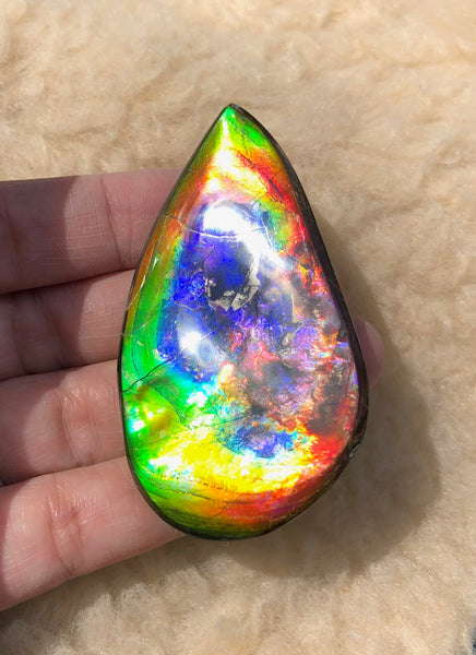 Super Rare Color!  XL! 62x34x7 mm  TOP Grade Natural  Free Form . FFNT 132 Ammolite  Free Shipping! ナチュラル　ルース　アンモライト 送料無料！