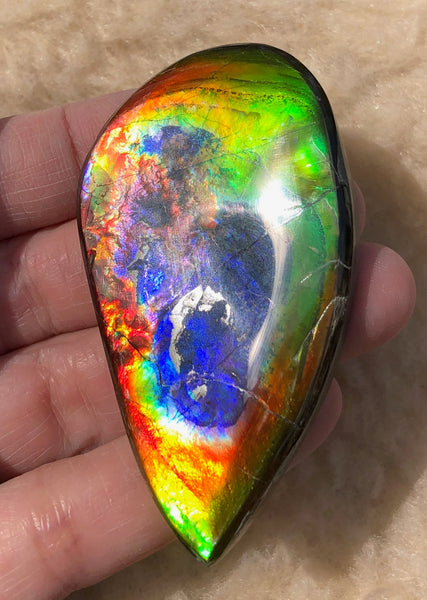 Super Rare Color!  XL! 62x34x7 mm  TOP Grade Natural  Free Form . FFNT 132 Ammolite  Free Shipping! ナチュラル　ルース　アンモライト 送料無料！