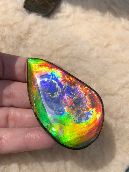 Super Rare Color!  XL! 62x34x7 mm  TOP Grade Natural  Free Form . FFNT 132 Ammolite  Free Shipping! ナチュラル　ルース　アンモライト 送料無料！