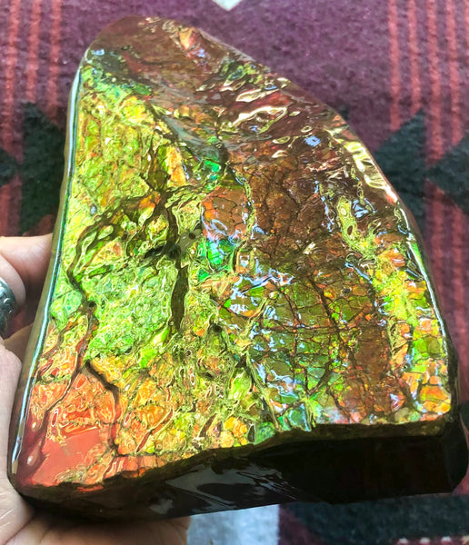 Ammolite Display Stone Hand Specimen Huge Section Piece 178mm 7" Collector Stone Home Décor  - CS-218***アンモライト　コレクターストーン
