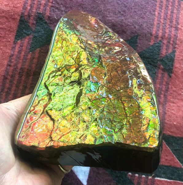 Ammolite Display Stone Hand Specimen Huge Section Piece 178mm 7" Collector Stone Home Décor  - CS-218***アンモライト　コレクターストーン