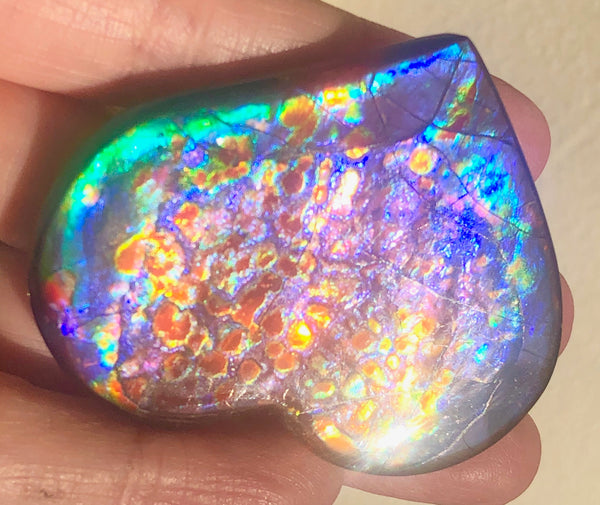 55 x 45 mm  Premium Grade Large Heart Shaped Natural Freeform $1200  or Make an offer! . FFNT 116 Ammolite  Free Shipping! ナチュラル　ルース　アンモライト 値下げ交渉！