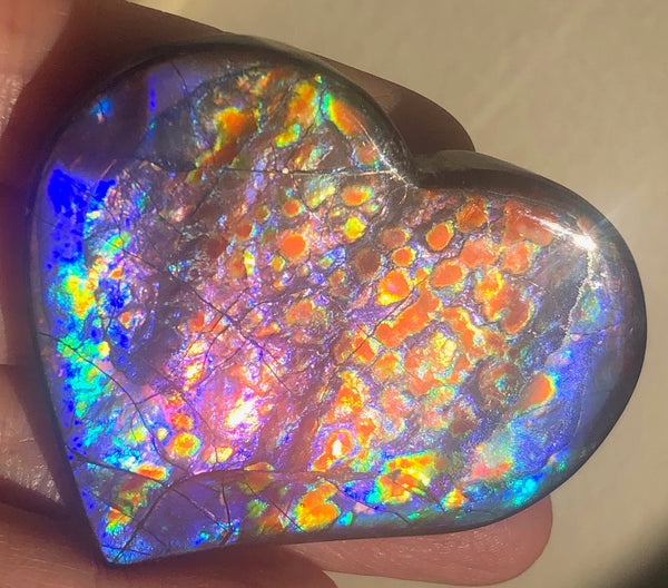 55 x 45 mm  Premium Grade Large Heart Shaped Natural Freeform $1200  or Make an offer! . FFNT 116 Ammolite  Free Shipping! ナチュラル　ルース　アンモライト 値下げ交渉！