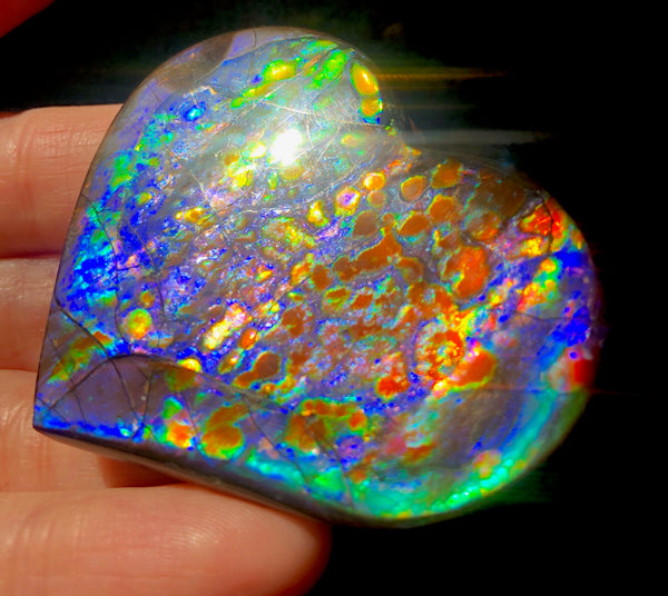 55 x 45 mm  Premium Grade Large Heart Shaped Natural Freeform $1200  or Make an offer! . FFNT 116 Ammolite  Free Shipping! ナチュラル　ルース　アンモライト 値下げ交渉！