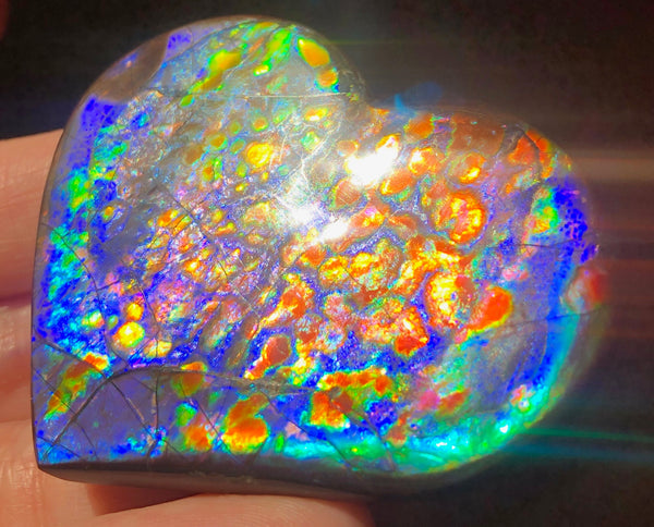 55 x 45 mm  Premium Grade Large Heart Shaped Natural Freeform $1200  or Make an offer! . FFNT 116 Ammolite  Free Shipping! ナチュラル　ルース　アンモライト 値下げ交渉！