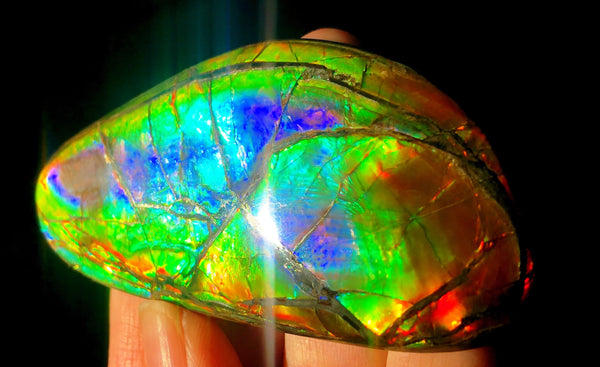 78 x 37 mm  Premium Grade Natural  Free Form $1100 or Make an offer!. FFNT 117 Ammolite  Free Shipping! ナチュラル　ルース　アンモライト 値下げ交渉　送料無料！