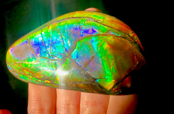 78 x 37 mm  Premium Grade Natural  Free Form $1100 or Make an offer!. FFNT 117 Ammolite  Free Shipping! ナチュラル　ルース　アンモライト 値下げ交渉　送料無料！