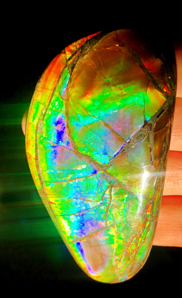 78 x 37 mm  Premium Grade Natural  Free Form $1100 or Make an offer!. FFNT 117 Ammolite  Free Shipping! ナチュラル　ルース　アンモライト 値下げ交渉　送料無料！