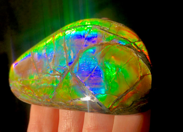 78 x 37 mm  Premium Grade Natural  Free Form $1100 or Make an offer!. FFNT 117 Ammolite  Free Shipping! ナチュラル　ルース　アンモライト 値下げ交渉　送料無料！