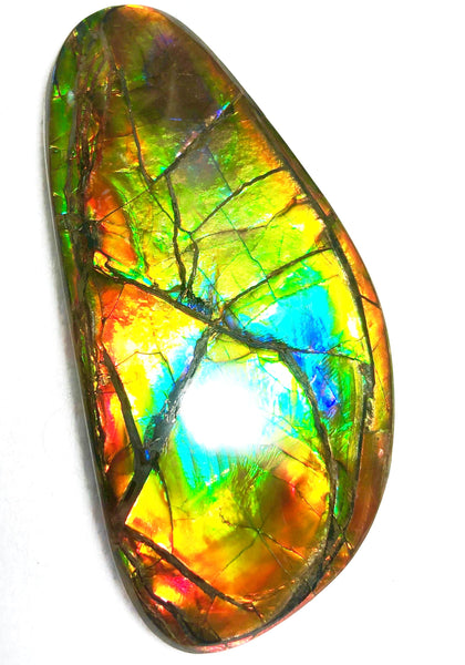 78 x 37 mm  Premium Grade Natural  Free Form $1100 or Make an offer!. FFNT 117 Ammolite  Free Shipping! ナチュラル　ルース　アンモライト 値下げ交渉　送料無料！