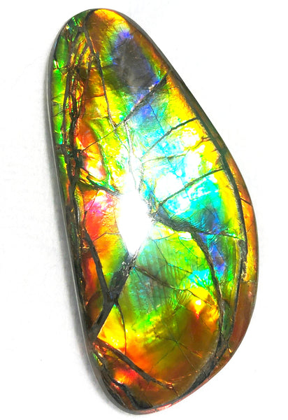 78 x 37 mm  Premium Grade Natural  Free Form $1100 or Make an offer!. FFNT 117 Ammolite  Free Shipping! ナチュラル　ルース　アンモライト 値下げ交渉　送料無料！