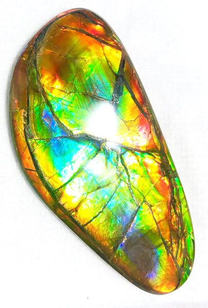 78 x 37 mm  Premium Grade Natural  Free Form $1100 or Make an offer!. FFNT 117 Ammolite  Free Shipping! ナチュラル　ルース　アンモライト 値下げ交渉　送料無料！