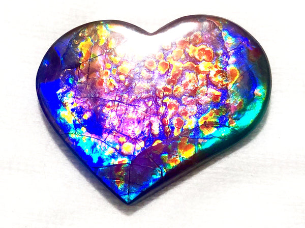55 x 45 mm  Premium Grade Large Heart Shaped Natural Freeform $1200  or Make an offer! . FFNT 116 Ammolite  Free Shipping! ナチュラル　ルース　アンモライト 値下げ交渉！