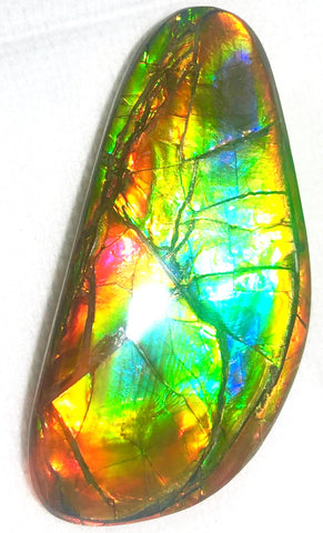 78 x 37 mm  Premium Grade Natural  Free Form $1100 or Make an offer!. FFNT 117 Ammolite  Free Shipping! ナチュラル　ルース　アンモライト 値下げ交渉　送料無料！