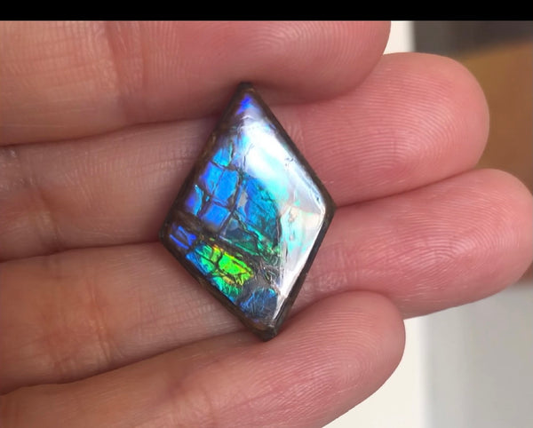 3 stones LOT  Ammolite NATURAL Hand POLISHED Gemstone Loose Gemstone,