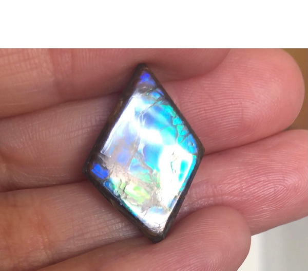 3 stones LOT  Ammolite NATURAL Hand POLISHED Gemstone Loose Gemstone,