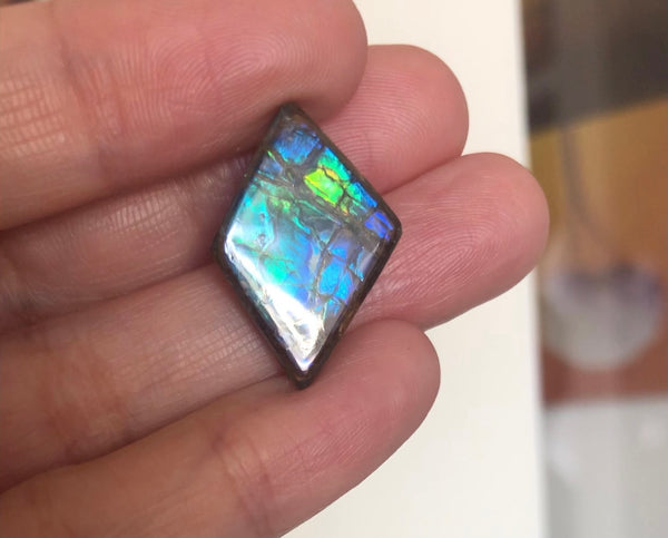 3 stones LOT  Ammolite NATURAL Hand POLISHED Gemstone Loose Gemstone,