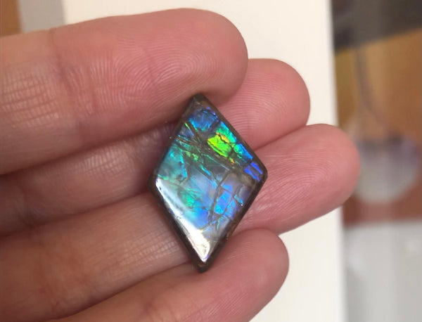 3 stones LOT  Ammolite NATURAL Hand POLISHED Gemstone Loose Gemstone,