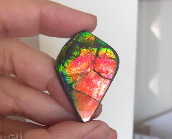3 stones LOT  Ammolite NATURAL Hand POLISHED Gemstone Loose Gemstone,