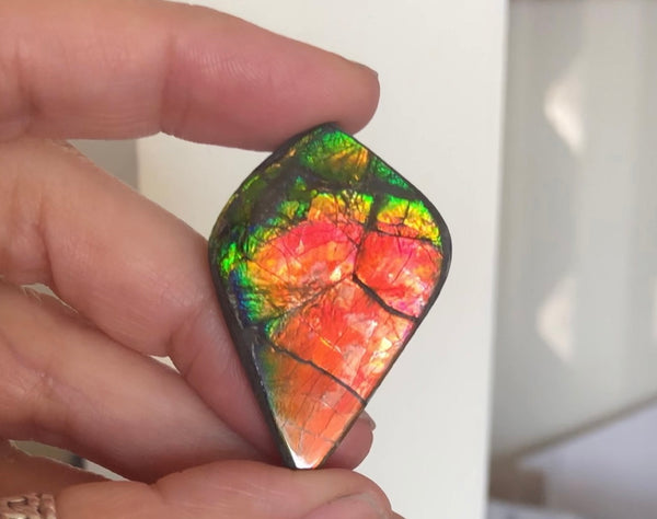 3 stones LOT  Ammolite NATURAL Hand POLISHED Gemstone Loose Gemstone,