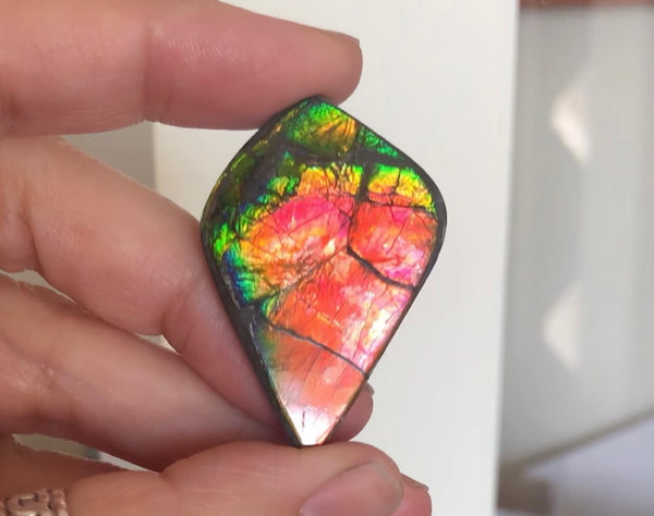 3 stones LOT  Ammolite NATURAL Hand POLISHED Gemstone Loose Gemstone,