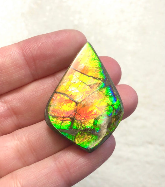 3 stones LOT  Ammolite NATURAL Hand POLISHED Gemstone Loose Gemstone,