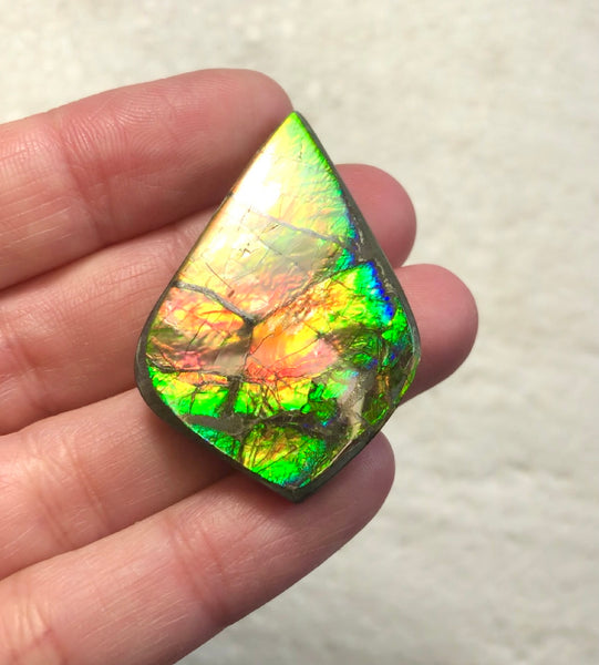 3 stones LOT  Ammolite NATURAL Hand POLISHED Gemstone Loose Gemstone,