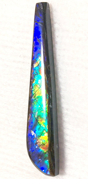 41 x 7 mm  Natural  Free Form . FFNT 121 Ammolite  ナチュラル　ルース　アンモライト フリーフォーム