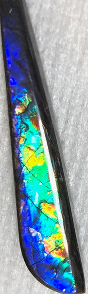 41 x 7 mm  Natural  Free Form . FFNT 121 Ammolite  ナチュラル　ルース　アンモライト フリーフォーム