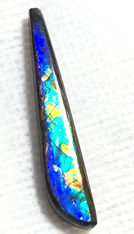 41 x 7 mm  Natural  Free Form . FFNT 121 Ammolite  ナチュラル　ルース　アンモライト フリーフォーム