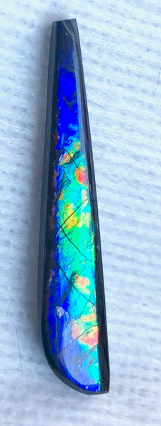 41 x 7 mm  Natural  Free Form . FFNT 121 Ammolite  ナチュラル　ルース　アンモライト フリーフォーム