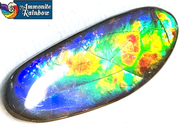 28  x 18 mm  Natural  Free Form . FFN 345 Ammolite  ナチュラル　ルース　アンモライト フリーフォーム