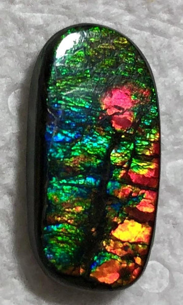 Natural  Free Form . FFN 375 Small Beauty Ammolite   ナチュラル　ルース　アンモライト