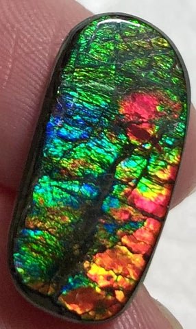 Natural  Free Form . FFN 375 Small Beauty Ammolite   ナチュラル　ルース　アンモライト