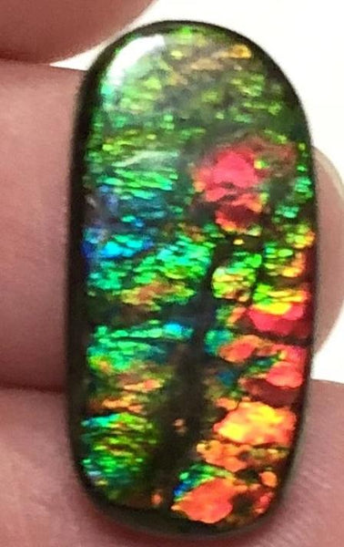 Natural  Free Form . FFN 375 Small Beauty Ammolite   ナチュラル　ルース　アンモライト