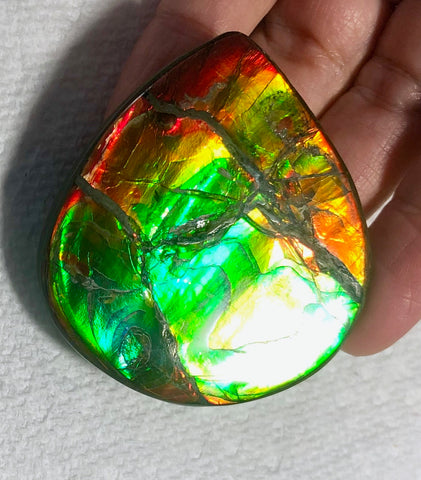 Certificate 54 x50x7㎜ 42.7g  Natural  Free Form . FFNT 134 Ammolite  ナチュラル　ルース　アンモライト フリーフォーム
