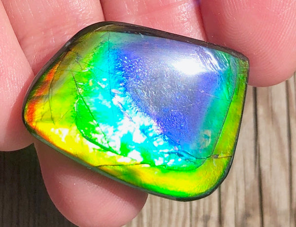 29.5 x 20 mm  Natural  Free Form . FFN 369 Ammolite  ナチュラル　ルース　アンモライト フリーフォーム