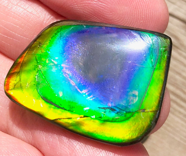 29.5 x 20 mm  Natural  Free Form . FFN 369 Ammolite  ナチュラル　ルース　アンモライト フリーフォーム