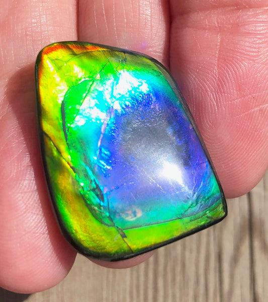 29.5 x 20 mm  Natural  Free Form . FFN 369 Ammolite  ナチュラル　ルース　アンモライト フリーフォーム