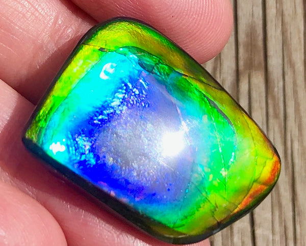29.5 x 20 mm  Natural  Free Form . FFN 369 Ammolite  ナチュラル　ルース　アンモライト フリーフォーム