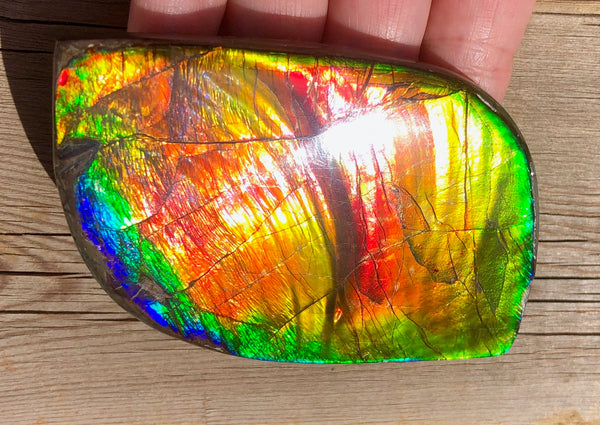 Super Flash  XL! 95x59x10 mm  TOP Grade Natural  Free Form . FFNT 133  Ammolite  Free Shipping! ナチュラル　ルース　アンモライト 送料無料！