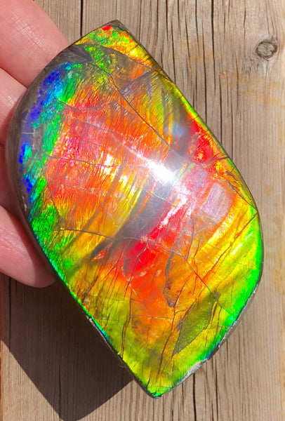 Super Flash  XL! 95x59x10 mm  TOP Grade Natural  Free Form . FFNT 133  Ammolite  Free Shipping! ナチュラル　ルース　アンモライト 送料無料！