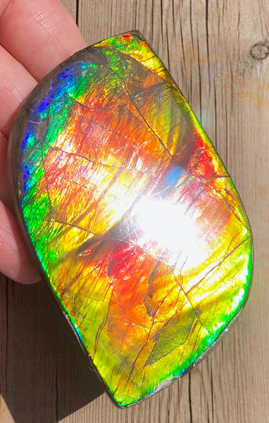 Super Flash  XL! 95x59x10 mm  TOP Grade Natural  Free Form . FFNT 133  Ammolite  Free Shipping! ナチュラル　ルース　アンモライト 送料無料！
