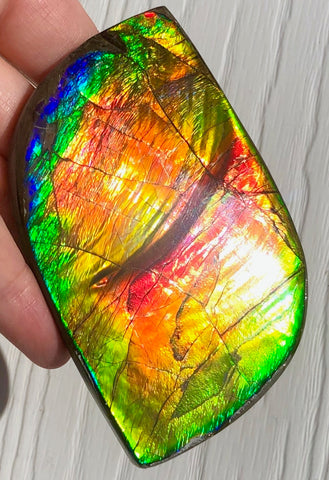 Super Flash  XL! 95x59x10 mm  TOP Grade Natural  Free Form . FFNT 133  Ammolite  Free Shipping! ナチュラル　ルース　アンモライト 送料無料！