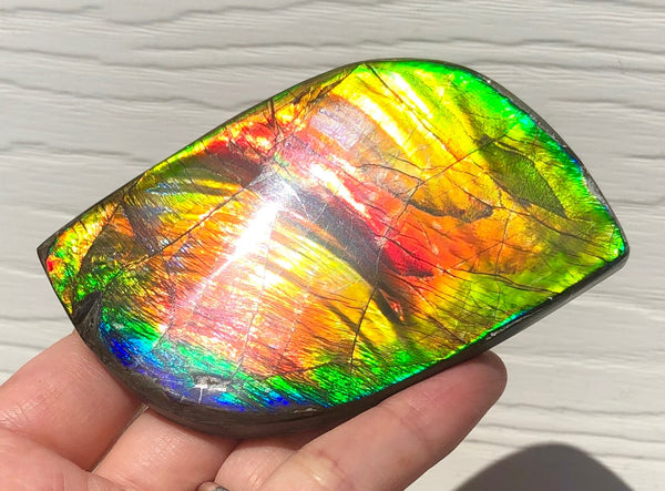 Super Flash  XL! 95x59x10 mm  TOP Grade Natural  Free Form . FFNT 133  Ammolite  Free Shipping! ナチュラル　ルース　アンモライト 送料無料！